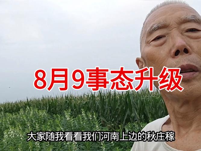 上蔡天气预报？上蔡天气预报30天查询？-第1张图片-优品飞百科