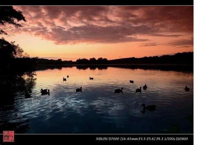 尼康p7000什么时候出的，尼康p7000值得入手吗？-第3张图片-优品飞百科