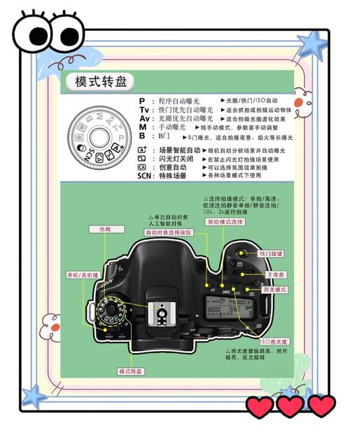 佳能摄像机可以拍照吗，佳能的摄像功能怎么用-第3张图片-优品飞百科