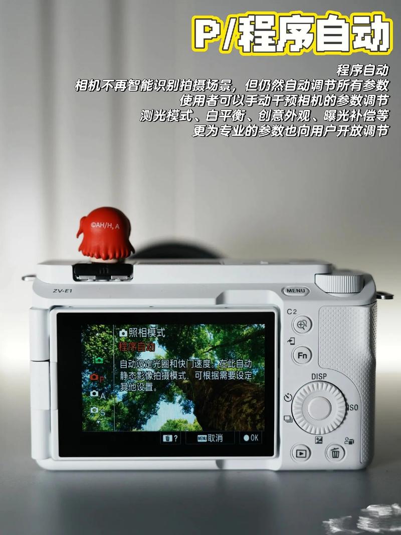 索尼数码相机内存卡在哪里？索尼单反相机内存卡？-第2张图片-优品飞百科