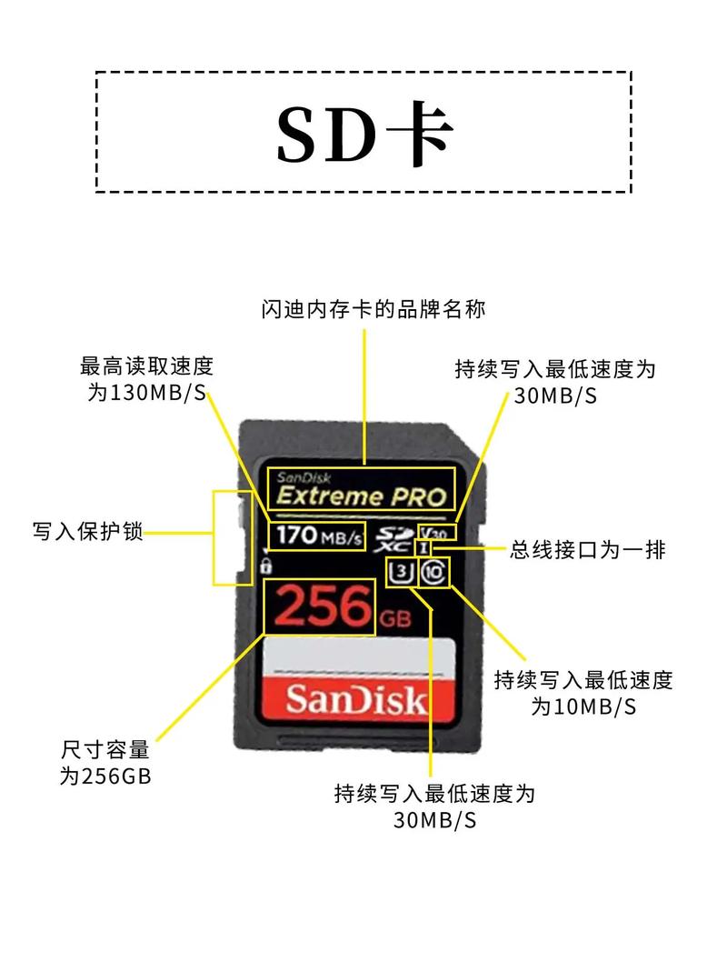 索尼数码相机内存卡在哪里？索尼单反相机内存卡？-第3张图片-优品飞百科