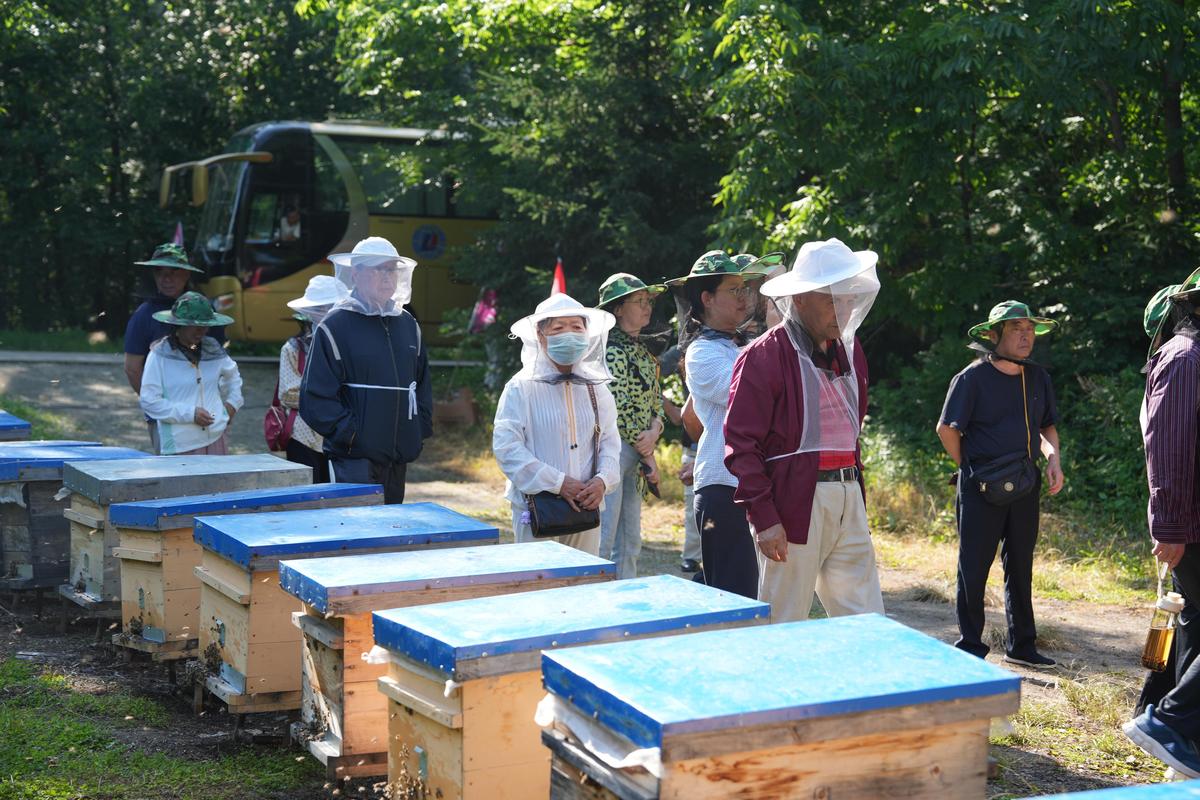 饶河县天气预报，饶河县天气预报40天