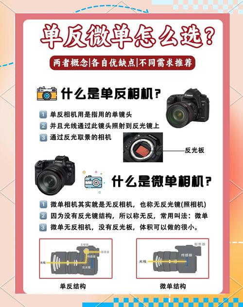 单反单电微单哪个好，单电 单反 微单？-第3张图片-优品飞百科