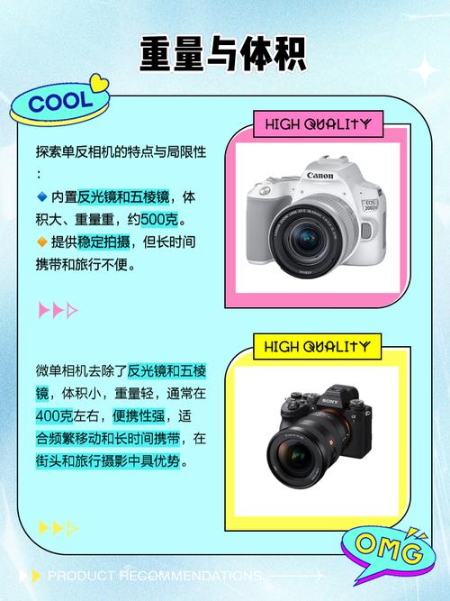 单反单电微单哪个好，单电 单反 微单？-第4张图片-优品飞百科