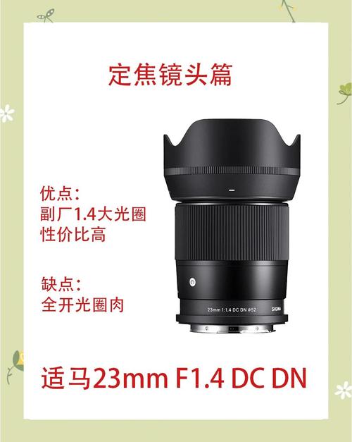 佳能镜头新手推荐?佳能良心镜头?-第1张图片-优品飞百科 佳能镜头新手推荐?佳能良心镜头?-第1张图片-优品飞百科