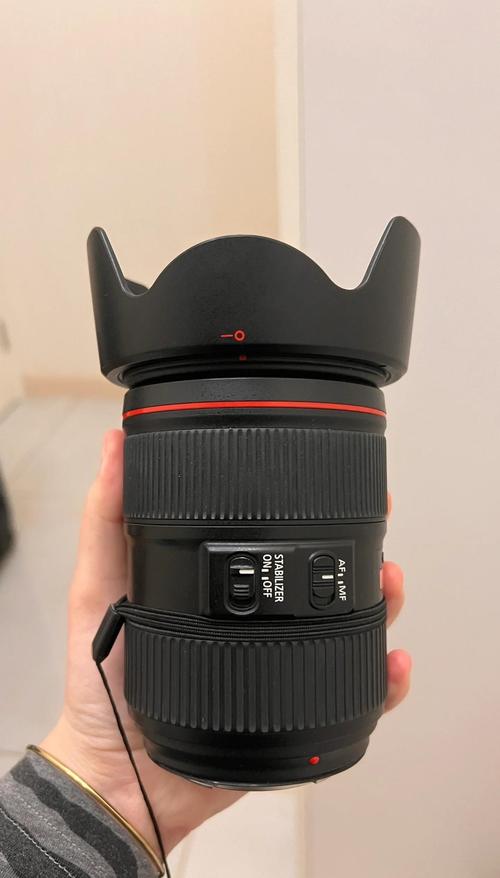 佳能镜头新手推荐?佳能良心镜头?-第2张图片-优品飞百科 佳能镜头新手推荐?佳能良心镜头?-第2张图片-优品飞百科