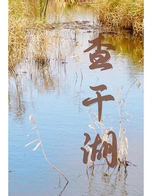 扶余天气预报15天，扶余天气预报15天天气查询最新-第2张图片-优品飞百科