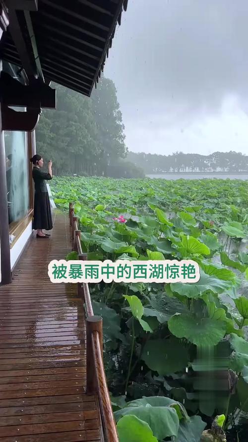 余姚市天气预报15天，余姚天气预报一周7天10天15天？-第3张图片-优品飞百科