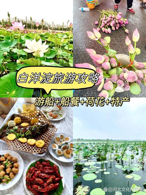 容城县天气预报，容城县天气预报15天查询-第2张图片-优品飞百科