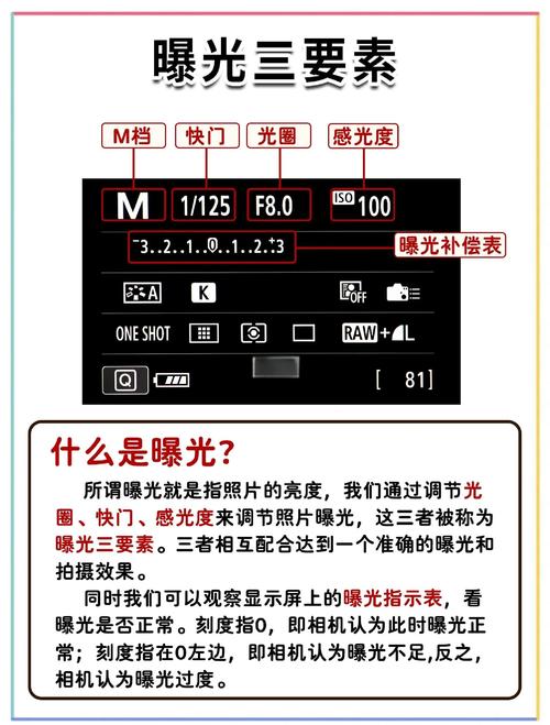 佳能相机450d有几个档位，佳能450dm档设置参数