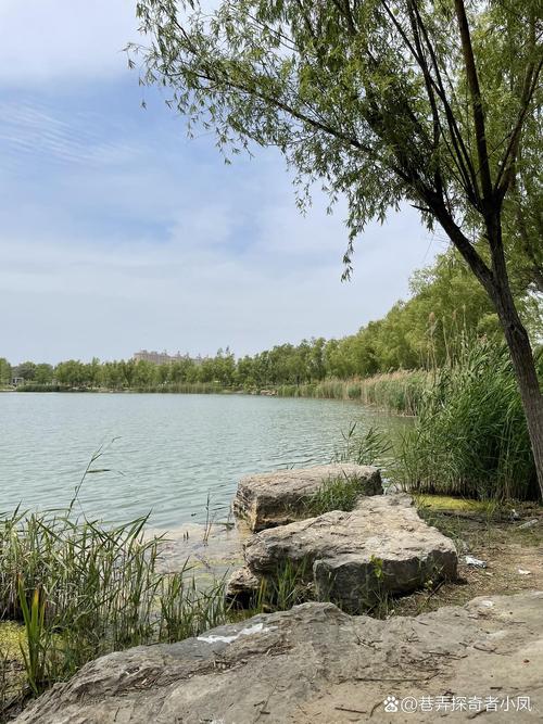 邳州市天气预报？南京市天气预报？-第3张图片-优品飞百科