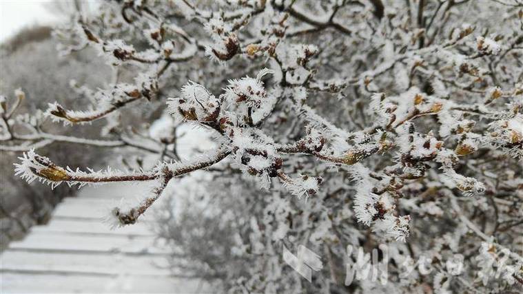 麻城天气预报15天？麻城天气预报15天最新消息？-第3张图片-优品飞百科