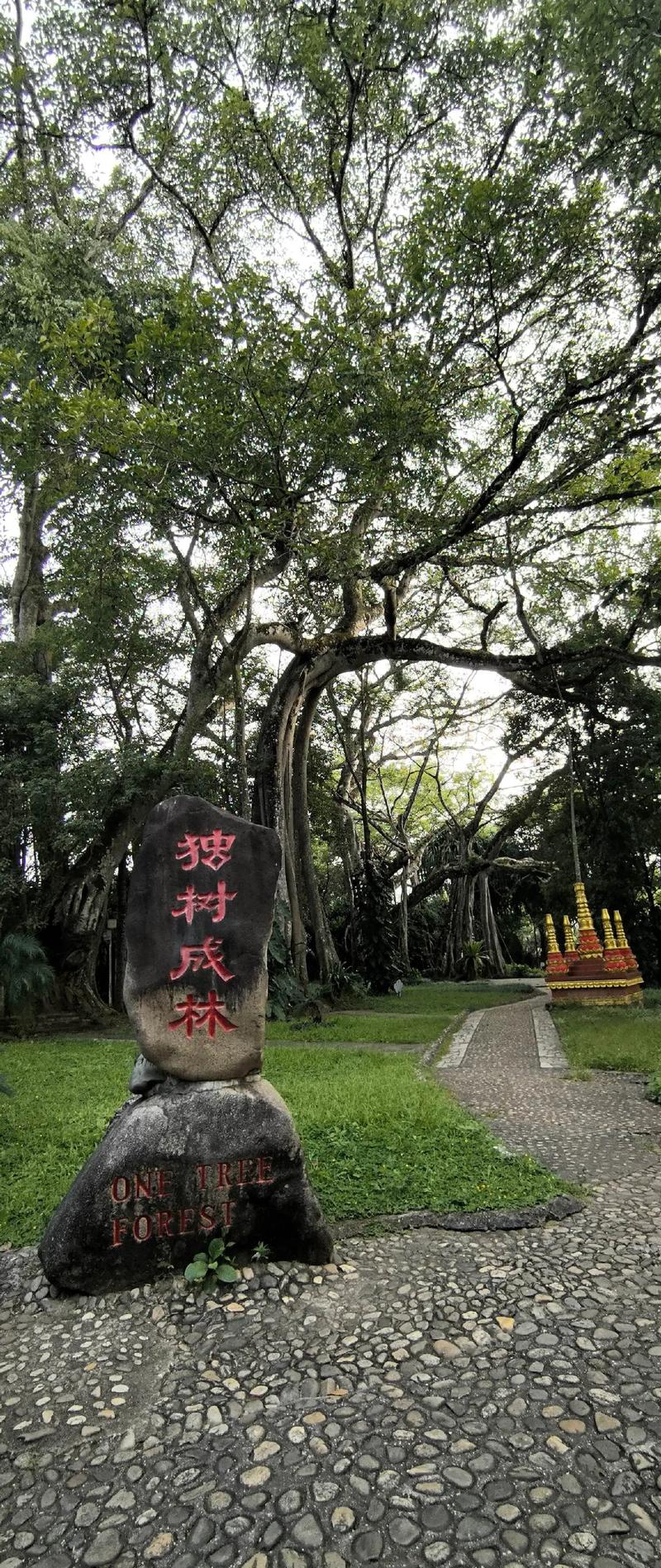 瑞丽市天气预报？瑞丽市天气预报最新？-第5张图片-优品飞百科