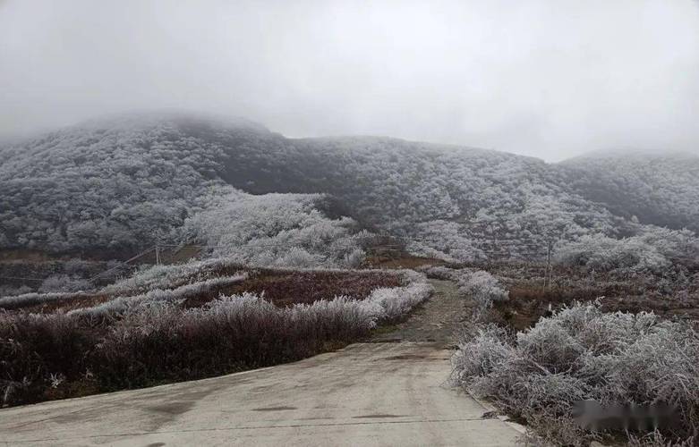 山东长清天气预报，山东长清天气预报实时？-第3张图片-优品飞百科