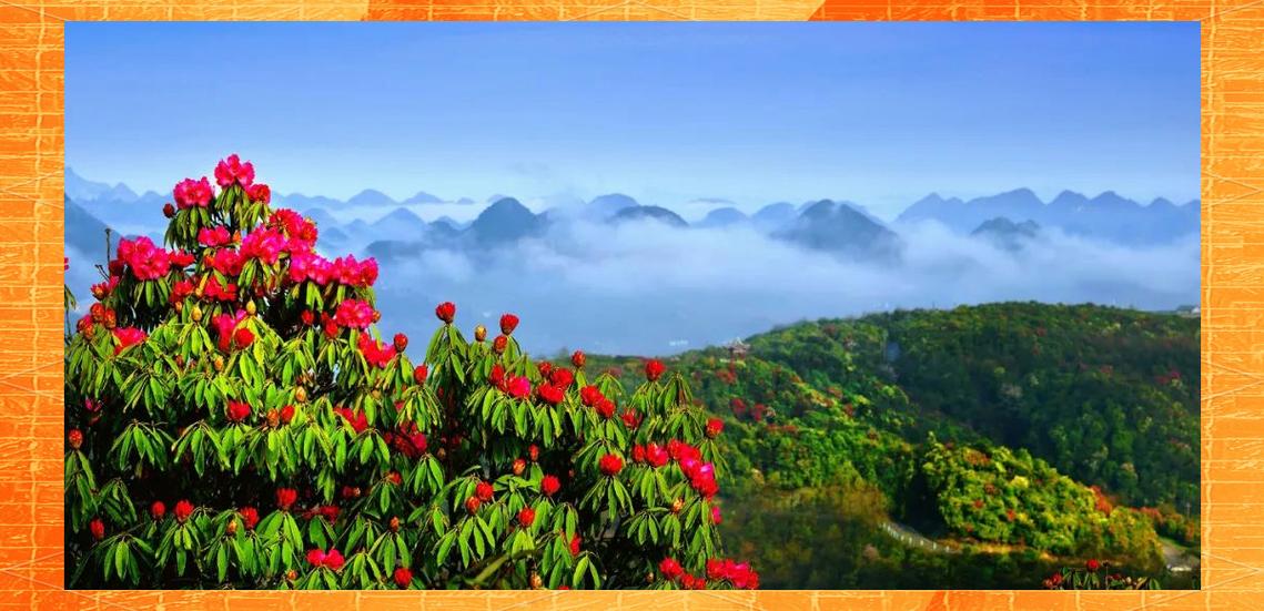 枣阳市天气预报15天，湖北省枣阳市天气预-第4张图片-优品飞百科