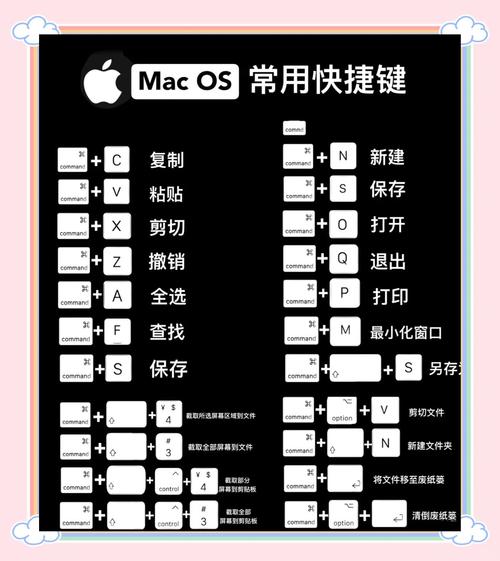 苹果手提电脑怎么使用，怎么使用苹果笔记本电脑的?？-第5张图片-优品飞百科