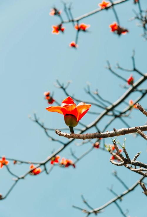 尼康d7000现在过时了吗，尼康d7000什么时候停产-第2张图片-优品飞百科