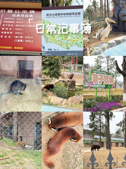 武汉新洲阳逻天气预报，湖北省武汉市阳逻天气预报15天？-第2张图片-优品飞百科