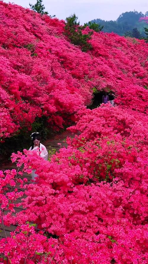 武汉新洲阳逻天气预报，湖北省武汉市阳逻天气预报15天？-第4张图片-优品飞百科