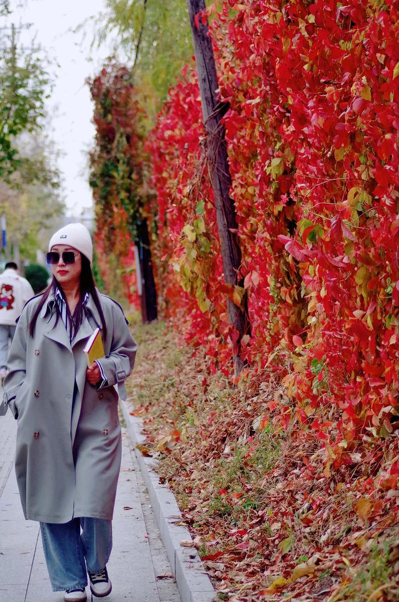 宾得da35比较好焦段？宾得3524？-第3张图片-优品飞百科