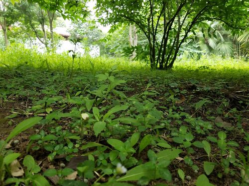 安徽蒙城天气预报，安薇蒙城天气预报？-第2张图片-优品飞百科