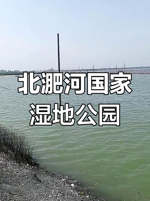 安徽蒙城天气预报，安薇蒙城天气预报？-第6张图片-优品飞百科