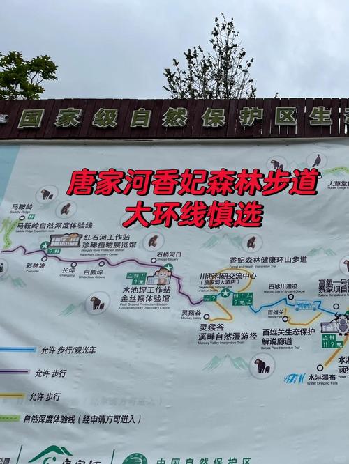 广元唐家河天气预报，广元唐家河天气预报最新7天查询-第3张图片-优品飞百科