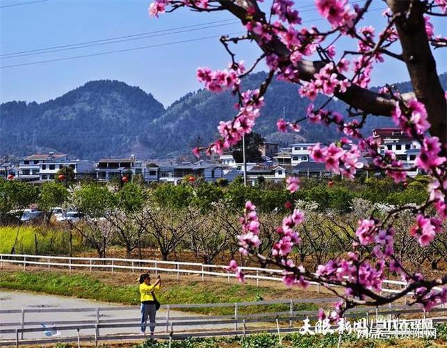 南明区天气预报，南明区天气预报40天-第3张图片-优品飞百科