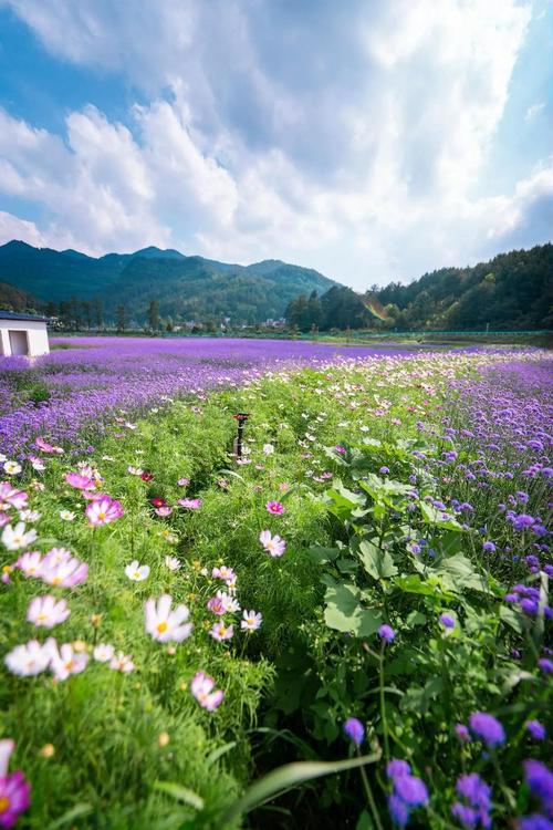 南明区天气预报，南明区天气预报40天-第5张图片-优品飞百科