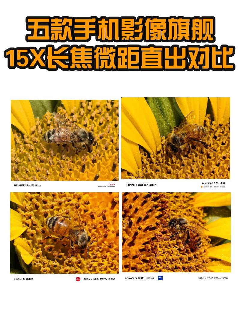 微距镜头用什么焦段？微距镜头选取？-第3张图片-优品飞百科