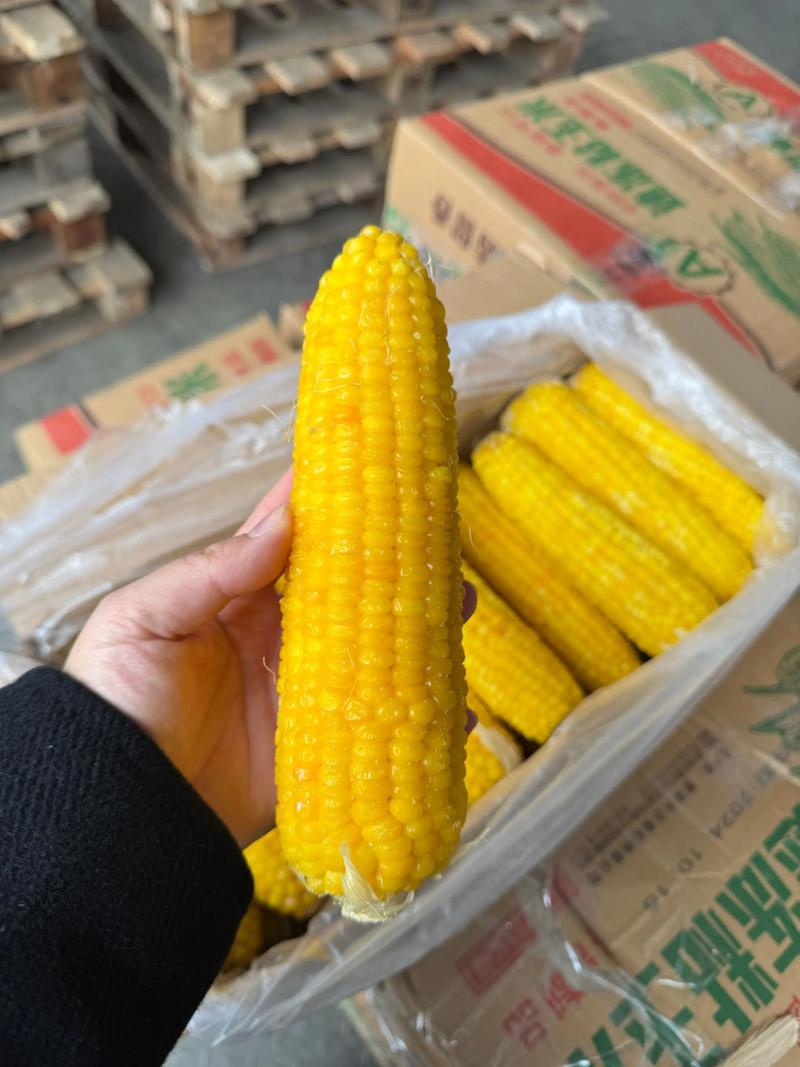 天气预报开鲁？开鲁天气实时预报？-第1张图片-优品飞百科