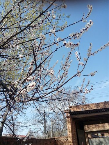 天气预报清苑，天气预报清苑纳贤？