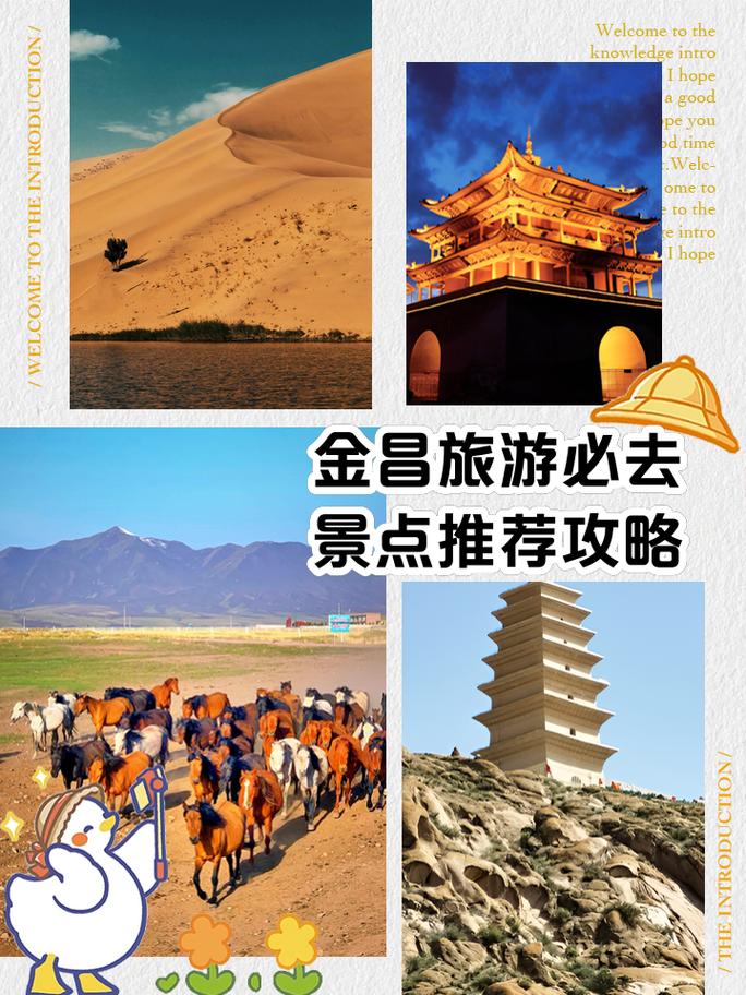 金川区天气预报，金川区天气预报40天查询结果-第1张图片-优品飞百科