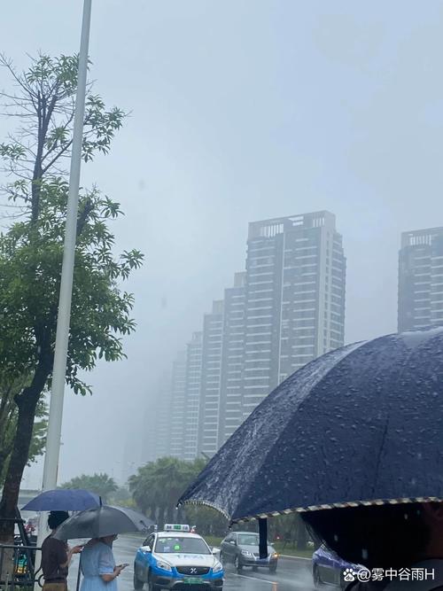 新泰天气预报15天？山东天气预报 未来三天？