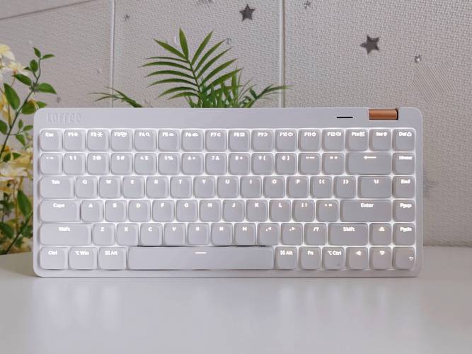 机械键盘红轴和黑轴哪个声音小？机械键盘红轴和黑轴哪个声音小些？-第3张图片-优品飞百科