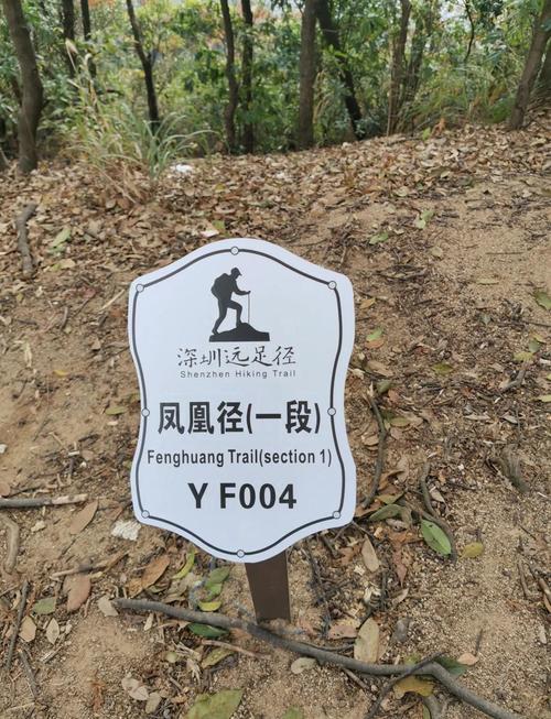 永安市天气预报，永安市天气预报15天？-第2张图片-优品飞百科