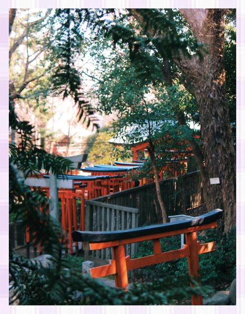 佳能a630相机怎么开机，佳能a630怎么自拍？-第2张图片-优品飞百科