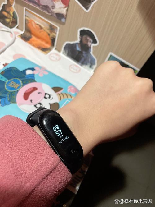 小米手环2使用方法，小米手环使用方法大全？-第4张图片-优品飞百科