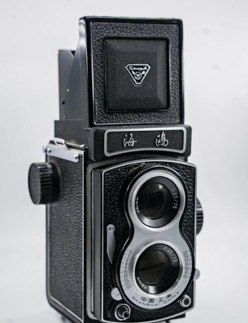 海鸥相机什么时候开始生产的，海鸥照相机是哪一年生产的-第1张图片-优品飞百科