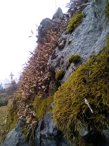 宿州天气预报一周7天？安徽即将迎降雨？-第3张图片-优品飞百科