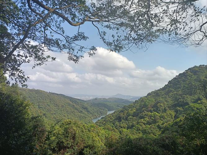 东莞大岭山天气预报？东莞大岭山天气预报30天查询？-第2张图片-优品飞百科