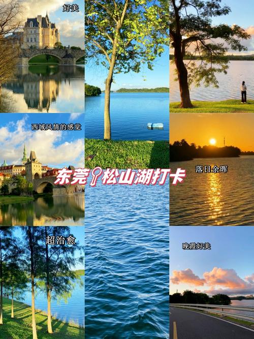 东莞大岭山天气预报？东莞大岭山天气预报30天查询？-第4张图片-优品飞百科