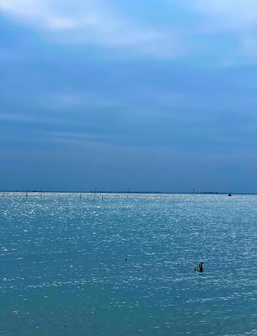 东兴市天气预报，东兴今明后三天天气预报-第1张图片-优品飞百科