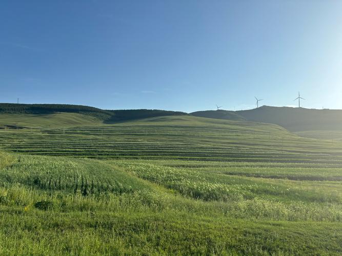 天路天气预报，草原天路天气预报-第3张图片-优品飞百科