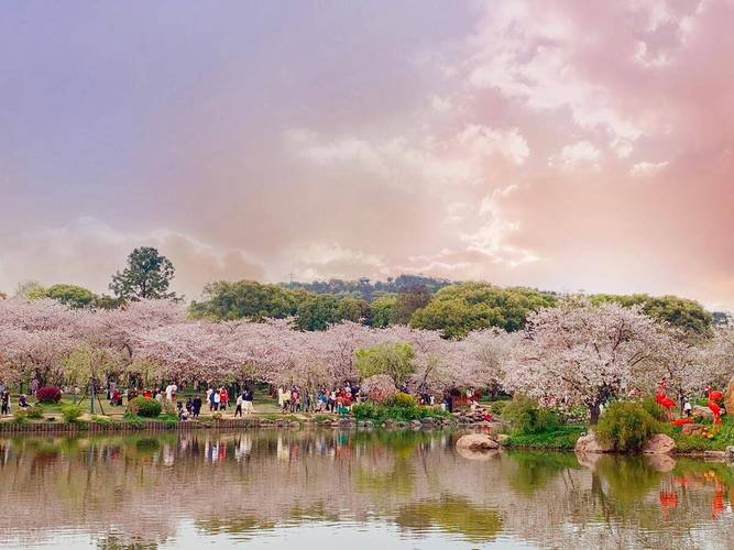 勐腊勐满镇天气预报？勐腊县勐满天气？-第2张图片-优品飞百科