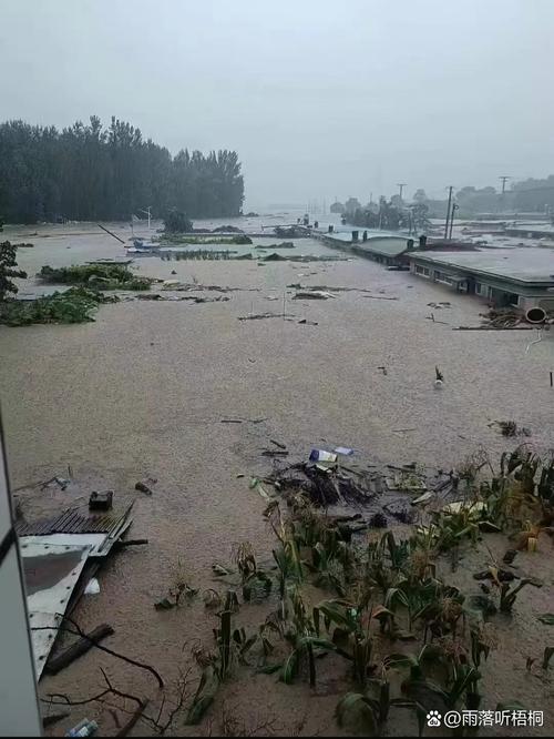 明天葫芦岛天气预报，明天葫芦岛天气预报情况查询-第5张图片-优品飞百科