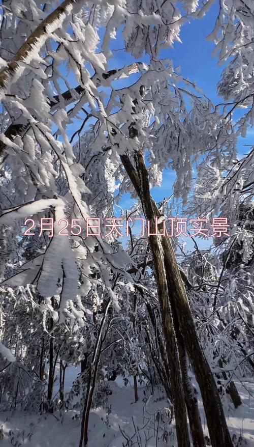 沅江天气预报？沅江天气预报7天一周？-第3张图片-优品飞百科