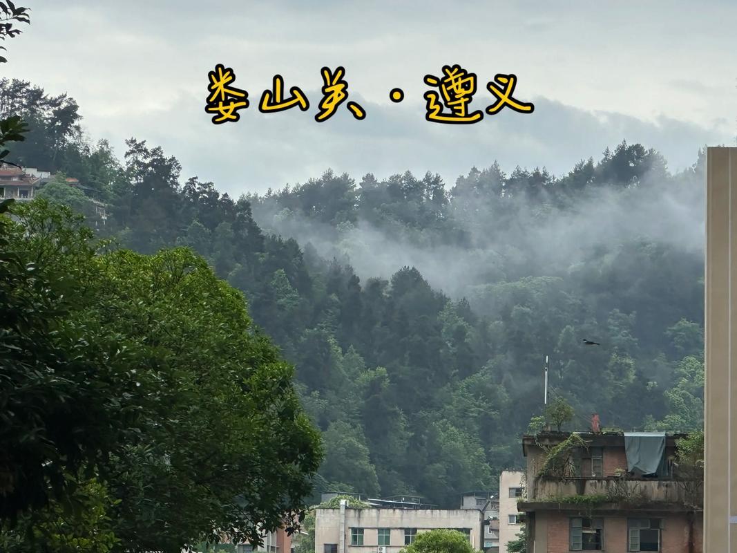 天气预报遵义？天气预报遵义市？-第3张图片-优品飞百科