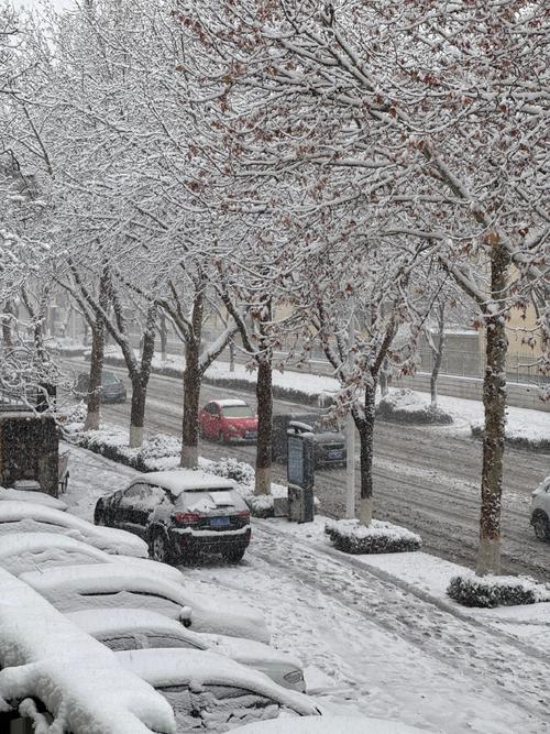 淄博市天气预报30天，淄博天气预报30天最新消息？