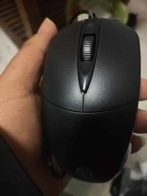 静音鼠标和有声鼠标哪个好？静音鼠标与有声鼠标哪个耐用？-第1张图片-优品飞百科